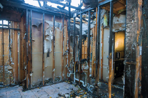 Professional Structural Rebuild technician working in Shoreacres, TX